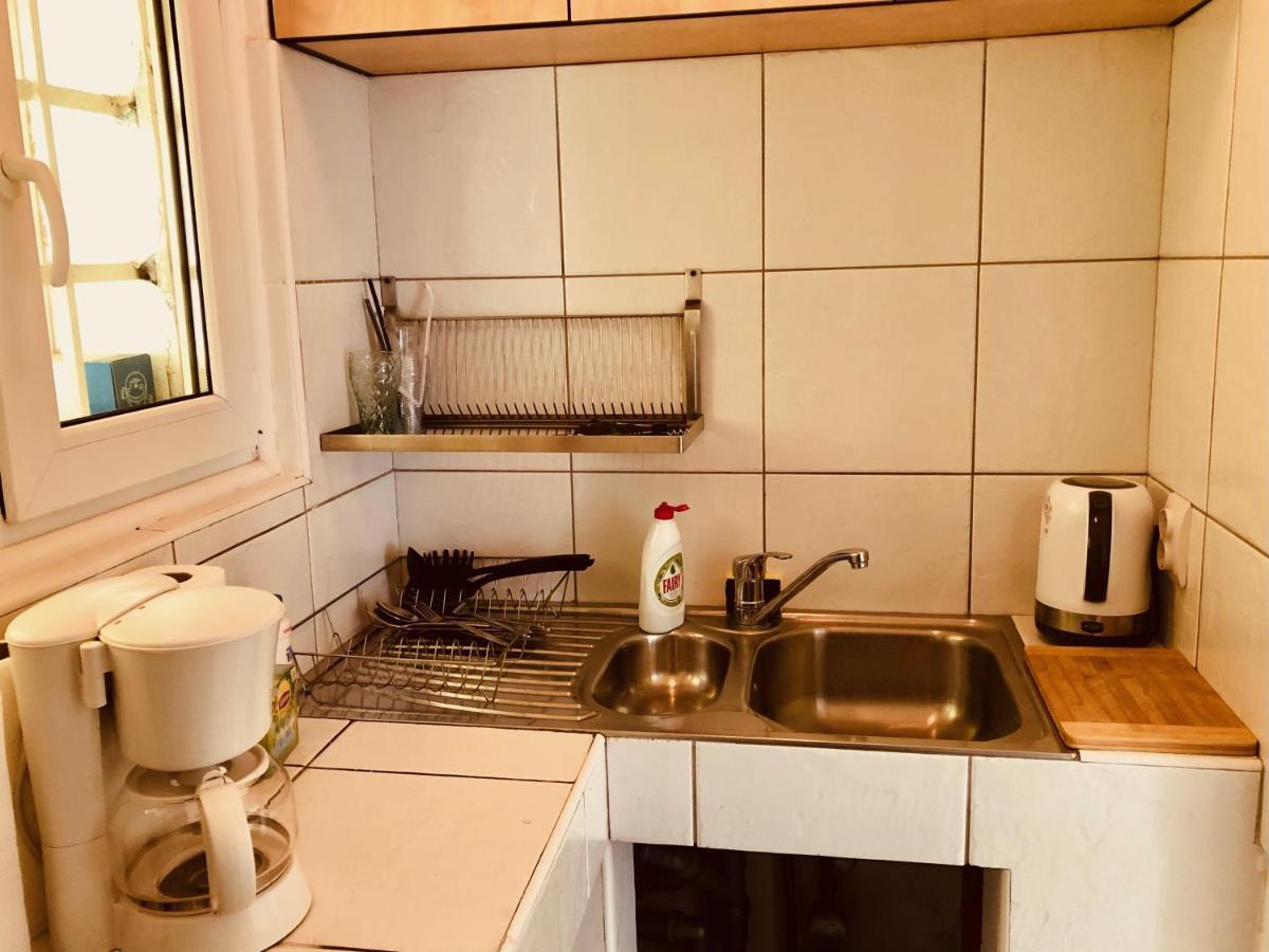 טימישוארה Ultra-Central Apartment Just In Union Squere מראה חיצוני תמונה